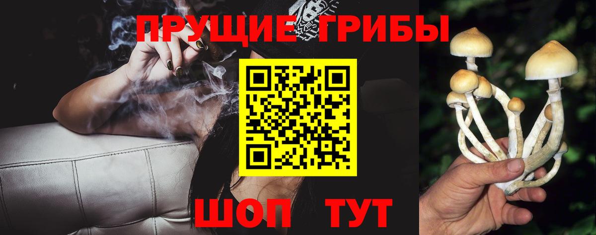 Лесной  Галлюциногенные грибы ЛСД  Вход с VPN 